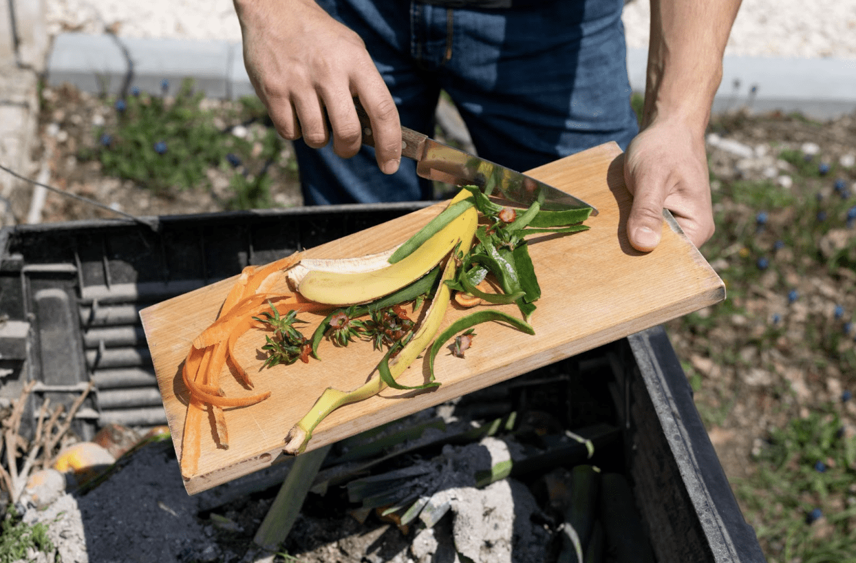 What Happens After Organic Waste Collection? 